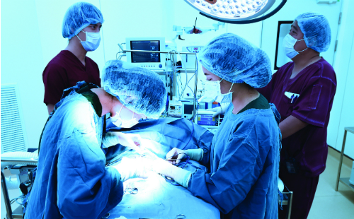 Ιατρικό Συνέδριο